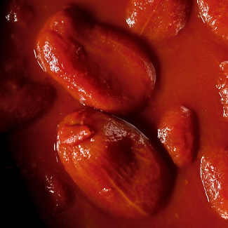 Tomates pelées - partenariat